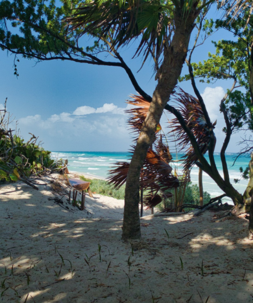 casa-tulum-2023-2